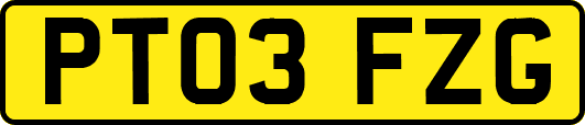 PT03FZG
