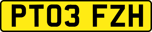 PT03FZH