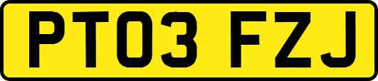 PT03FZJ