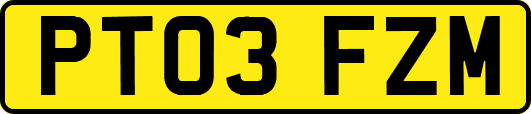 PT03FZM