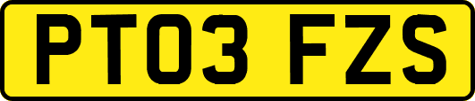 PT03FZS