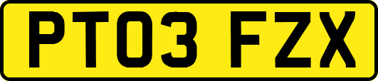 PT03FZX