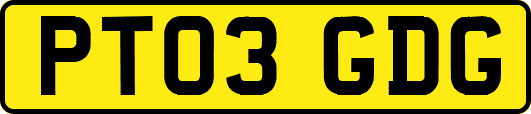 PT03GDG