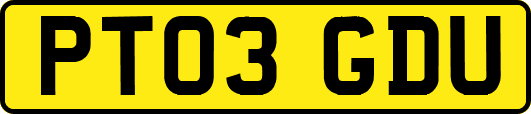 PT03GDU