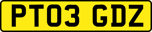 PT03GDZ