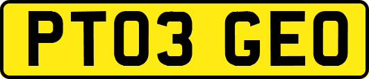 PT03GEO