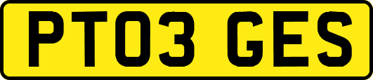 PT03GES