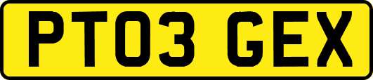 PT03GEX