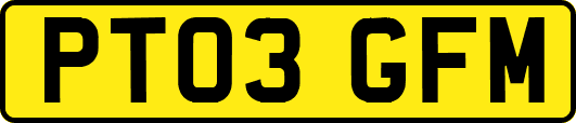 PT03GFM