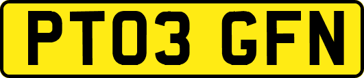 PT03GFN
