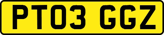 PT03GGZ