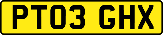 PT03GHX