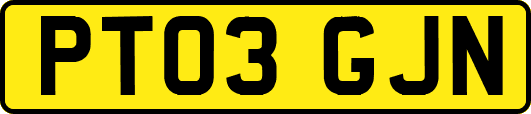 PT03GJN