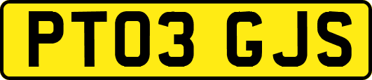 PT03GJS