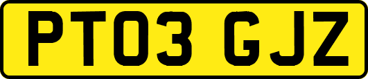 PT03GJZ