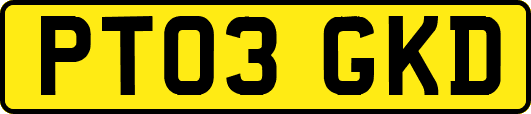 PT03GKD