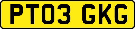 PT03GKG