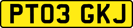 PT03GKJ