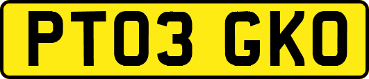 PT03GKO