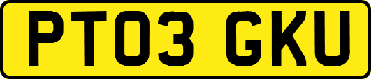 PT03GKU