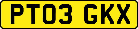 PT03GKX