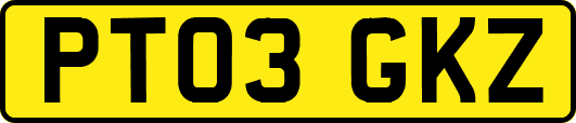 PT03GKZ