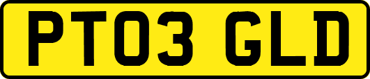 PT03GLD