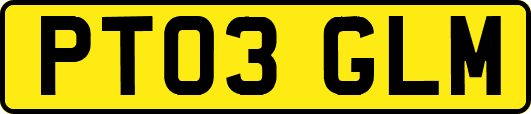 PT03GLM
