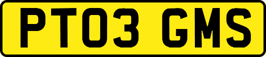 PT03GMS