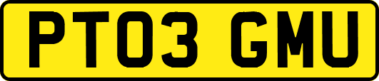 PT03GMU