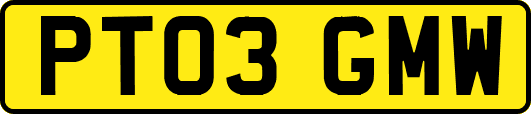 PT03GMW