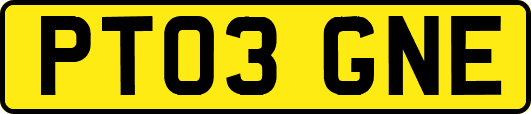 PT03GNE