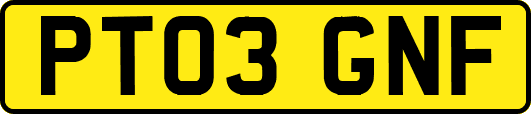 PT03GNF