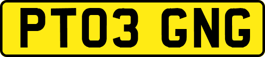 PT03GNG