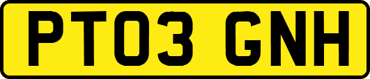 PT03GNH