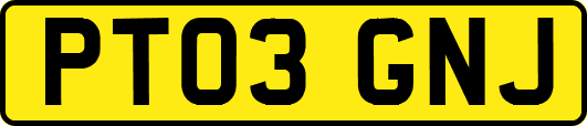 PT03GNJ