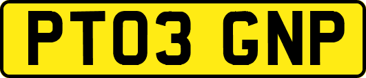 PT03GNP
