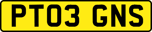 PT03GNS