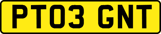 PT03GNT