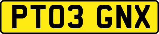 PT03GNX