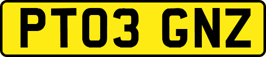 PT03GNZ