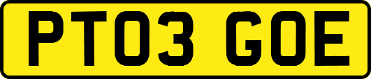 PT03GOE