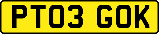 PT03GOK