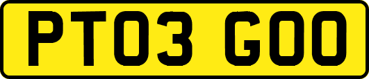 PT03GOO
