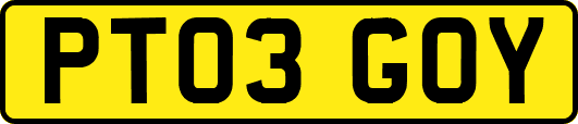 PT03GOY
