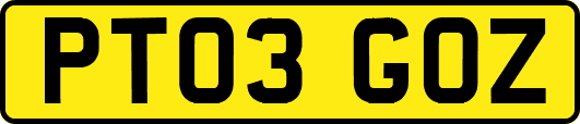 PT03GOZ