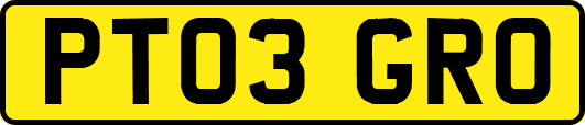 PT03GRO
