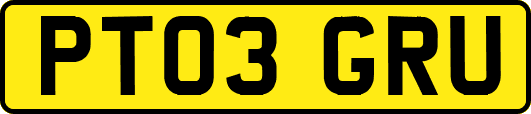 PT03GRU