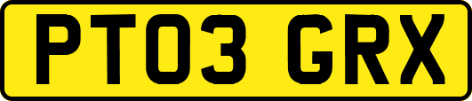 PT03GRX