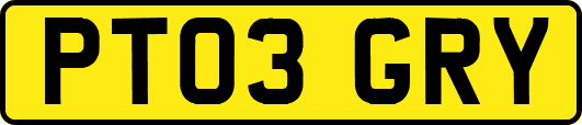 PT03GRY